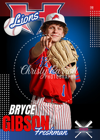 Bryce Gibson