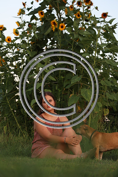 CPP_2933