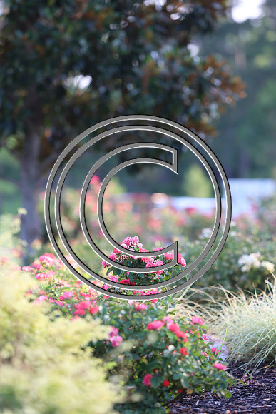 CPP_8192
