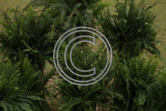CPP_0426