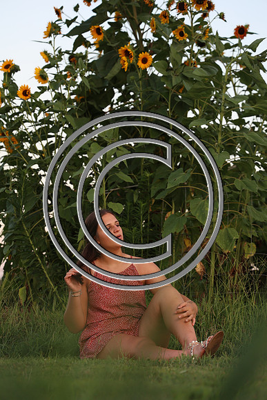 CPP_2936