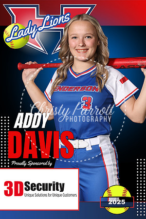 addy davis 3d security