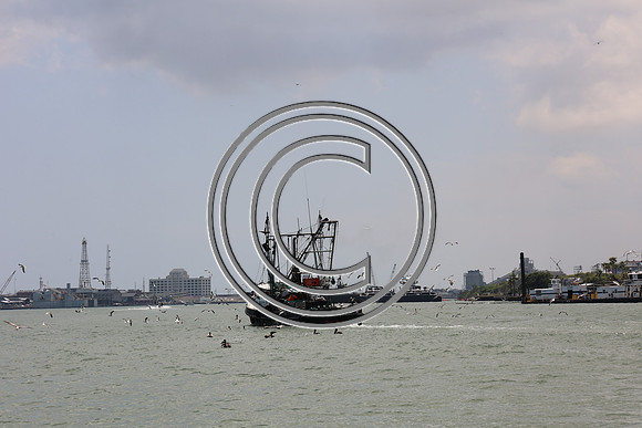 CPP_3034