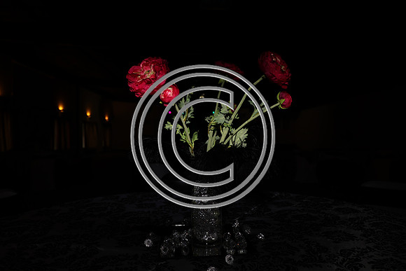 CPP_0012