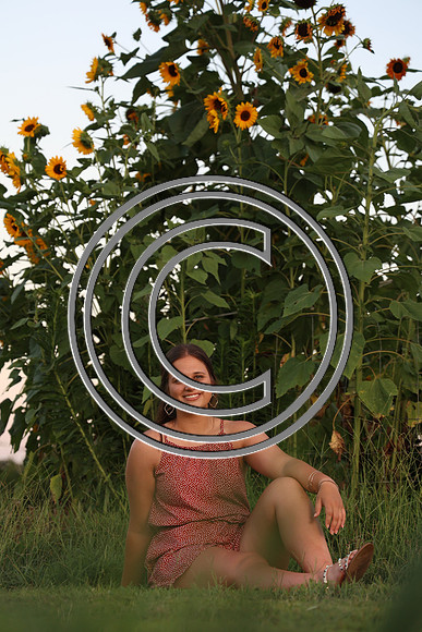 CPP_2935