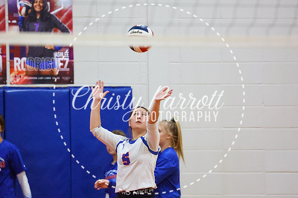 CPP_HHSVB-1017