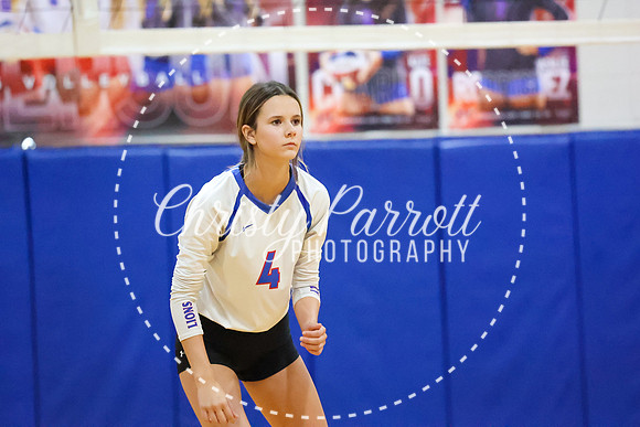 CPP_HHSVB-0995