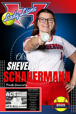 Schauermann ace siding