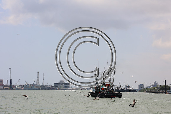 CPP_3043