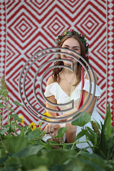 CPP_7485