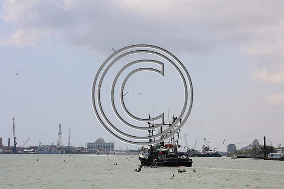 CPP_3039